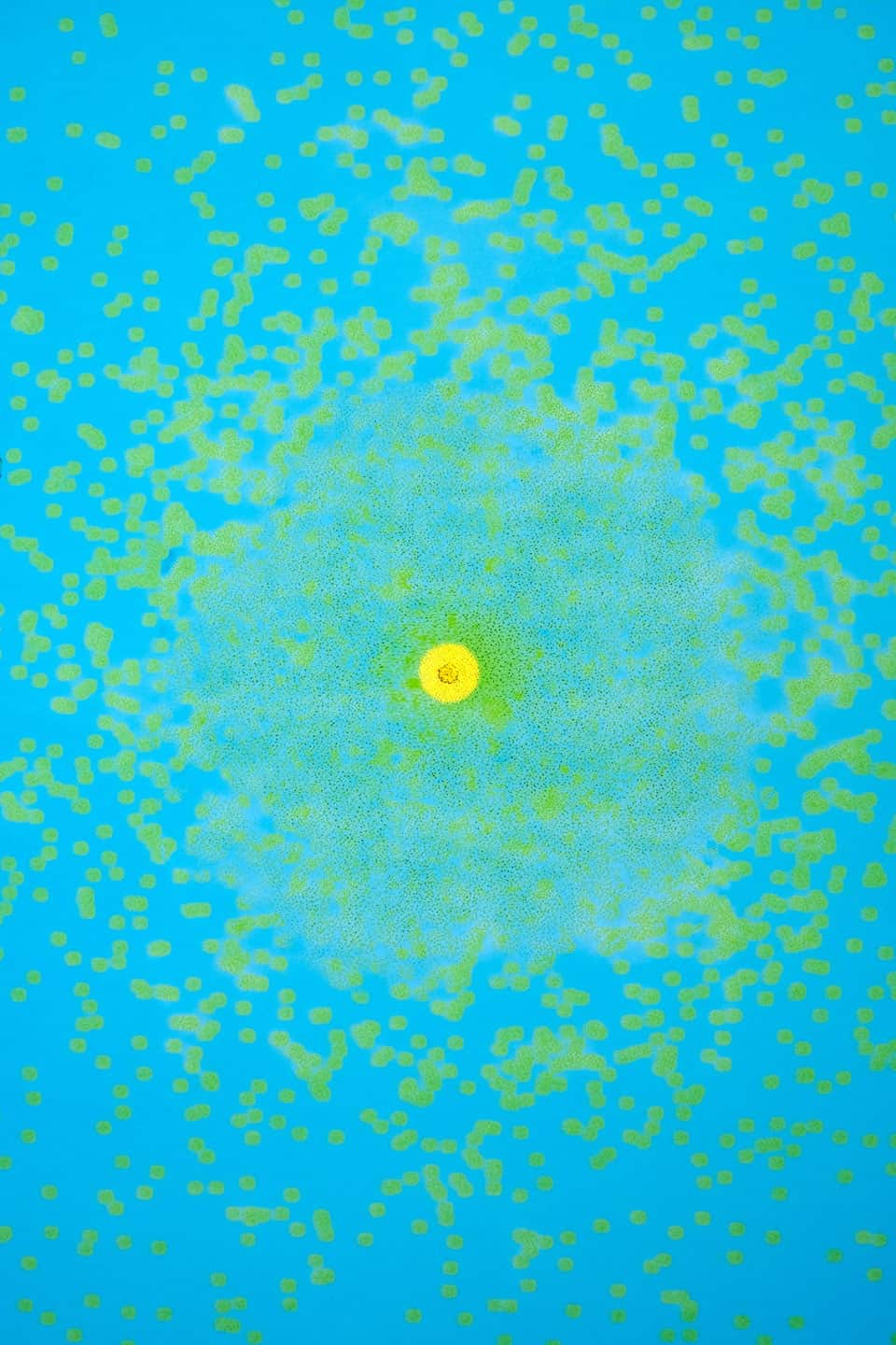 Alex Fischer 'Art Show' at NAMARA projects